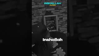 INSHALLAH WE GO GET MONEY 💰 xuper inshallah viralsong money energy explorepageghanamusicfyp [upl. by Sidalg]