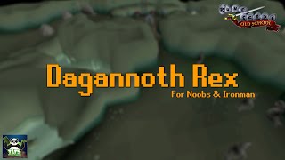 Quick Guide Dagganoth Rex for Low Levels  No ladder tricks  OSRS [upl. by Anitnelav]