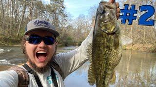 This Creek holds GIANTS  Bass Slam 2022 Part 2 [upl. by Dublin853]