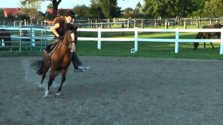 Handicap Reiten  Kira gehn die Pferde durch D [upl. by Cicely859]