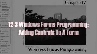 123 C Programming Adding Form Controls [upl. by Inavoj269]