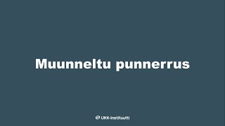 Muunneltu punnerrus testin ohjevideo [upl. by Bessy]