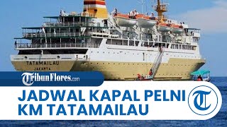 Jadwal Kapal Pelni KM Tatamailau hingga 7 Januari 2024 Rute Awal AmbonTernate Sandar Tual 3 Kali [upl. by Prissie]