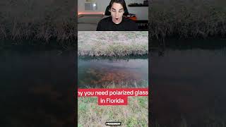 Why You Need Polarized Glasses In Florida [upl. by Noived]