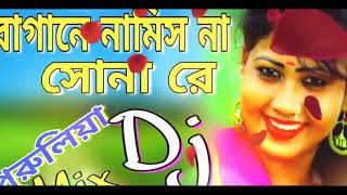 Bagane Namis Na Sona Re  Jor Khayao Dayao 10 Takar Dal Bhat Dailog Mix  Dj Song [upl. by Lsil]