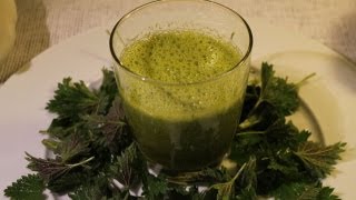 Grüner Smoothie mit Brennnesseln Rezept  Der Bio Koch 460 [upl. by Wassyngton]