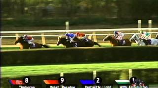 2001 Breeders Cup Turf [upl. by Cordelie]