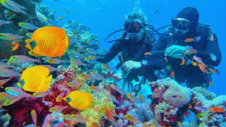 The Unknown Wildlife Of Cold Water Coral  Real Wild [upl. by Anagnos]