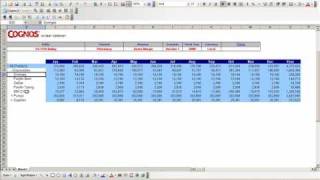 IBM Cognos TM1 analysis demo [upl. by Dugas542]