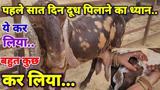 छोटे बच्चो को दूध कैसे पिलाए kids fidding tipsSukant chawlagoat farming [upl. by Sandy]