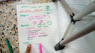 ANEMIA PATHOLOGY lecture 4 MEGALOBLASTIC ANEMIA with important stuff easy to do [upl. by Htor]