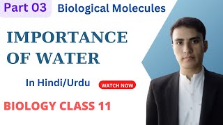 Importance of Water in HindiUrdu  Biological Molecules Biology 11 [upl. by Patric610]