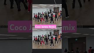 Coco Jambo Remix Linedance [upl. by Lynnelle376]