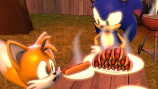 Tails First Barbacue Sonic SFM [upl. by Goltz619]