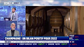 Michel Drappier Maison de Champagne Drappier Un bilan positif pour le champagne en 2022 [upl. by Kamal799]