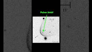 Comparing The Sounds Of Different Pulsars [upl. by Boorman]