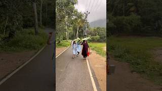 கல்வாழை குடை⛱️ Canna Umbrella  இலை குடை villagelife nature kids story [upl. by Meredi]