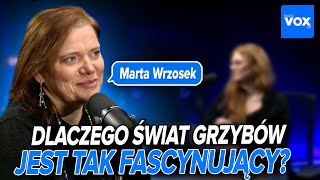 Grzybyzombie psychodeliki i maślaki Dlaczego świat grzybów jest tak fascynujący Marta Wrzosek [upl. by Ky]