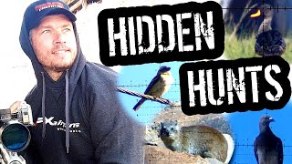 AIRGUN HUNTING I Hidden Hunting footage revealed [upl. by Martinic]