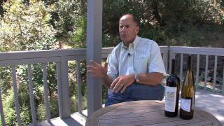 Terrace  California Wine with Tony [upl. by Harbison]