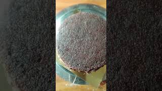 Chocolate truffle cake foodlovar cakerecipe chocolatecake shortvideo [upl. by Ernest]