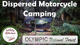 Dispersed Motorcycle Camping  Solo  Satsop River  Honda Africa Twin [upl. by Nohs509]