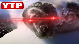 YTP  Seal Wants the EGG [upl. by Ggerk]