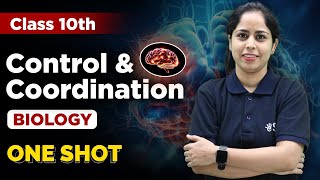 Control and Coordination in One Shot  Class 10 Biology Chapter 2  Class 10 Science  eSaral [upl. by Silas]