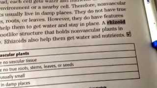 Difference between rhizoids and rhizome [upl. by Arakahs]