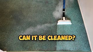 Super Dirty Carpet Steam Cleaning  Rental Property [upl. by Ailongam500]