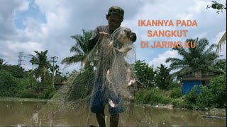 Puluhan Ikan Tersangkut Di Jaring Yang Saya Pasang [upl. by Gapin]