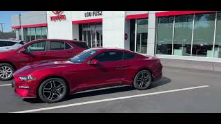 Alexia’s 2019 Ford Mustang Power Style amp Pure Muscle [upl. by Laet]