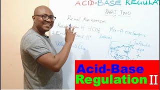 AcidBase Regulation  Lecture 7B [upl. by Nertie39]