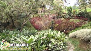 Ibague Jardin Botanico San Jorge [upl. by Maunsell296]