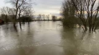 MüdenAller  Hochwasser AllerOker Mündung am 28122023 [upl. by Arelc]