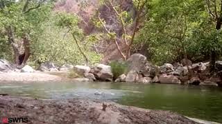 Friends filmed themselves in accidental drowning [upl. by Farrah512]