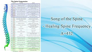 Song of the Spine  Healing Spine Frequency A432 [upl. by Rehtul280]