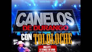 Los Canelos de Durango Te llevastes lo mejor con tololoche [upl. by Arlena]