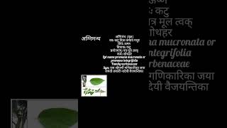 ayurveda dravyaguna agnimantha easylearning reels [upl. by Ydnahs]