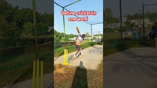 Define cricket in one word cricket cricketlover [upl. by Corder217]