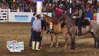 Jineteadas de caballos Festival de Doma y Folklore de Jesús María 2023 noche 7 [upl. by Neladgam699]