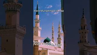 Meetha meetha Hai Mere Mohammed ka nam Shala tu shalam 💗shortvideo islamicmusic islamic [upl. by Yarased]