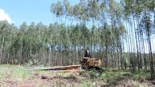 Feller Buncher 870C  Corte Área Expoforest 2018 [upl. by Bevus]