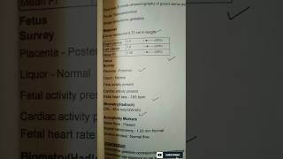 My Pregnancy Scan Report  Placenta Position  Placenta Posterior in tamil  pregnancyscan NT Scan [upl. by Disini365]