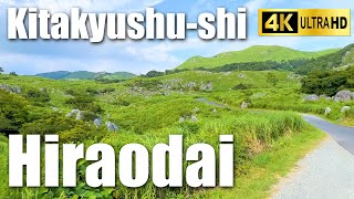 福岡県北九州市 平尾台 Hiraodai Kitakyushushi【Fukuoka Backstreet Walk】 4K [upl. by Aihsekel846]