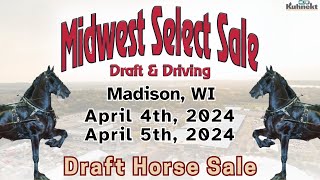 Draft Horse Sale  2024 Midwest Select Draft amp Driving Horse Sale [upl. by Marsden380]