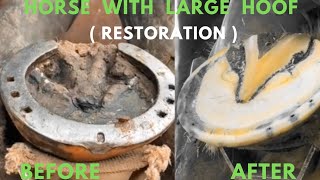 Shire Horse  Complete restoration  Shire Horse Restoration Compilation [upl. by Snahc]