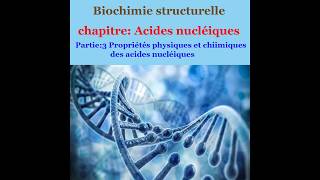 Cours de Biochimie structurale partie 4les propriétés physiques et chimiques des acides nucléiques [upl. by Cale160]