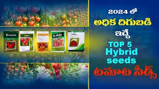 Top 5 Hybrid Tomato Seeds Telugu  Tamota Seeds Best Quality 2024  Tamato Cultivation [upl. by Ruenhs886]