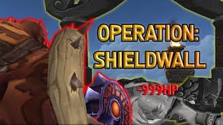 Operation Shieldwall Storyline Lore [upl. by Ibbison]